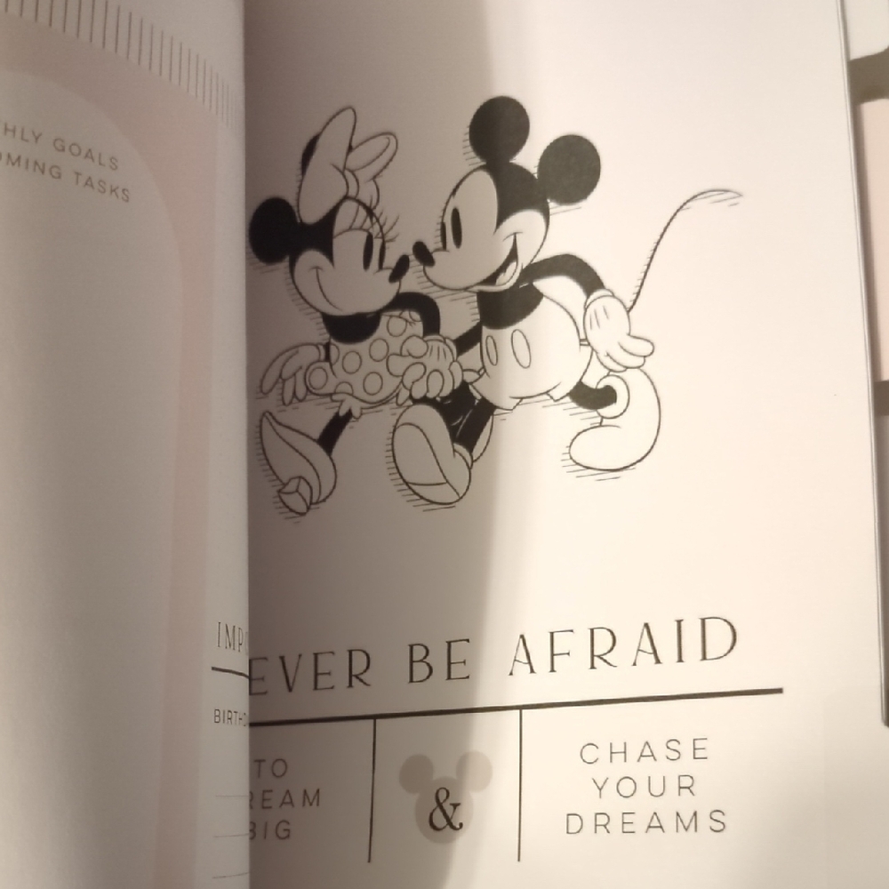 Disney The Happy Planner Mickey & Minnie Hardcover GratituPlanner - White & Gold - Picture 10 of 10